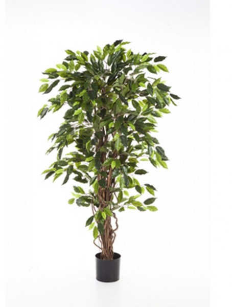 Ficus liane | Kunstbaum