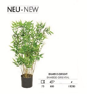 cm, Set Palmenmarkt 2er Orient - Bambus • 75 Kunstpflanze - Die Palme |