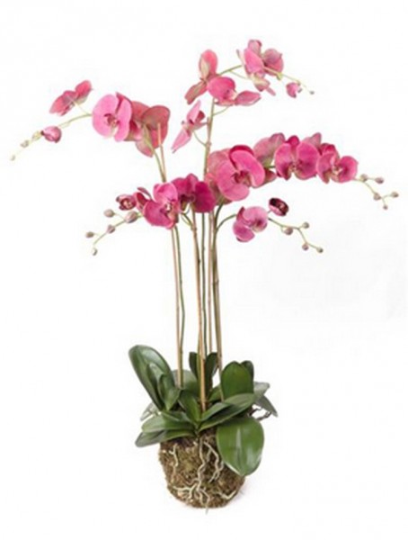 Phalaenopsis Giant Beauty 90 cm | Orchideen Kunstpflanze mit Moos